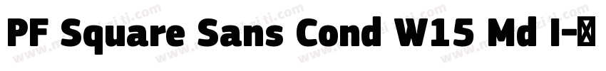 PF Square Sans Cond W15 Md I字体转换